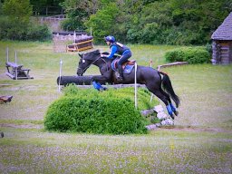 Chevaux